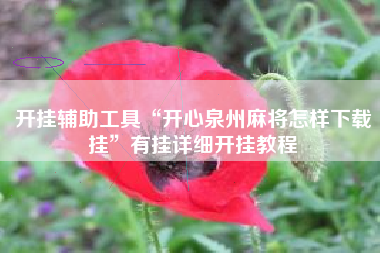 开挂辅助工具“开心泉州麻将怎样下载挂”有挂详细开挂教程