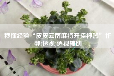 秒懂经验“皮皮云南麻将开挂神器”作弊(透视)透视辅助