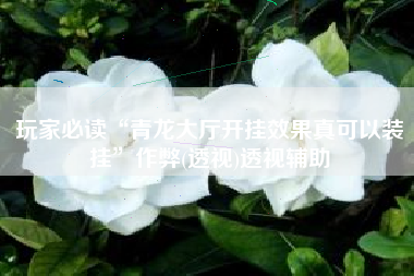 玩家必读“青龙大厅开挂效果真可以装挂”作弊(透视)透视辅助