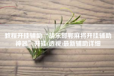 教程开挂辅助“胡乐邯郸麻将开挂辅助神器	”开挂(透视)最新辅助详细