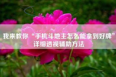 我来教你“手机斗地主怎么能拿到好牌”详细透视辅助方法