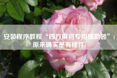 安装程序教程“四方麻将专用辅助器	”(原来确实是有插件)