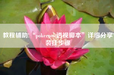 教程辅助!“pokernow透视脚本	”详细分享装挂步骤