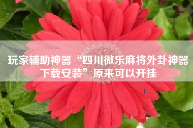 玩家辅助神器“四川微乐麻将外卦神器下载安装”原来可以开挂