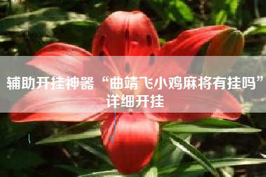 辅助开挂神器“曲靖飞小鸡麻将有挂吗”详细开挂