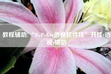 教程辅助!“WePoKer透视软件挂	”开挂(透视)辅助