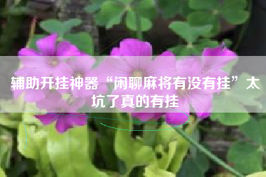 辅助开挂神器“闲聊麻将有没有挂”太坑了真的有挂