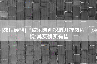 [教程经验]“微乐陕西挖坑开挂教程”(透视)其实确实有挂