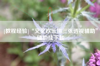 [教程经验]“叉叉欢乐拼三张透视辅助”辅助挂下载