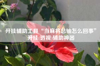 开挂辅助工具“当麻将总输怎么回事	”开挂(透视)辅助神器