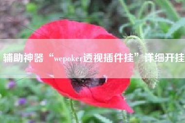 辅助神器“wepoker透视插件挂”详细开挂