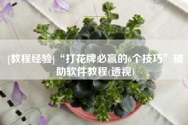 [教程经验]“打花牌必赢的6个技巧”辅助软件教程(透视)
