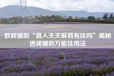 教程辅助“真人天天麻将有挂吗	”揭秘透视辅助万能挂用法