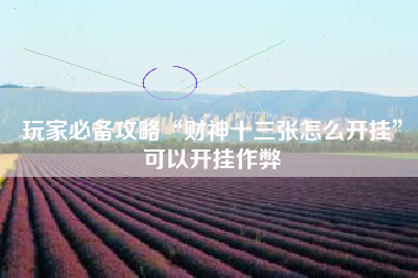 玩家必备攻略“财神十三张怎么开挂	”可以开挂作弊