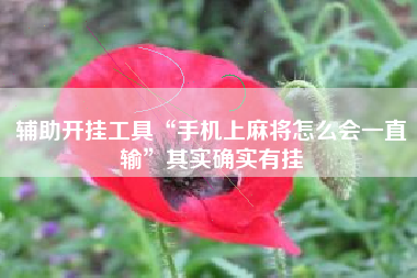 辅助开挂工具“手机上麻将怎么会一直输”其实确实有挂