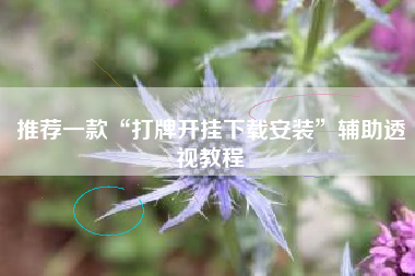推荐一款“打牌开挂下载安装”辅助透视教程