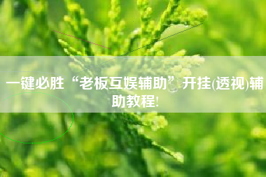 一键必胜“老板互娱辅助”开挂(透视)辅助教程!