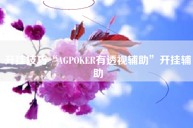 开挂技巧“AGPOKER有透视辅助”开挂辅助