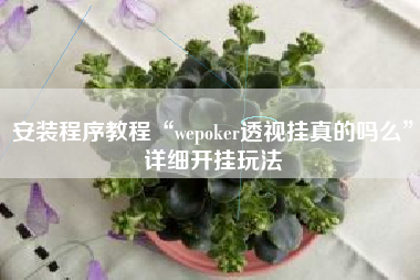 安装程序教程“wepoker透视挂真的吗么	”详细开挂玩法