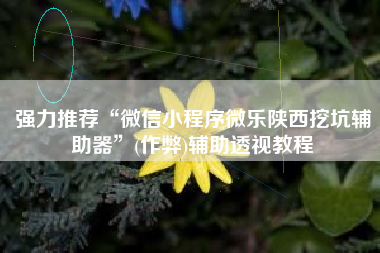 强力推荐“微信小程序微乐陕西挖坑辅助器”(作弊)辅助透视教程