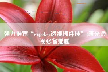 强力推荐“wepoker透视插件挂”(曝光透视必备猫腻