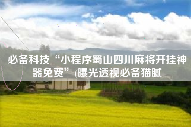 必备科技“小程序蜀山四川麻将开挂神器免费	”(曝光透视必备猫腻