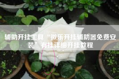 辅助开挂工具“微乐开挂辅助器免费安装”有挂详细开挂教程