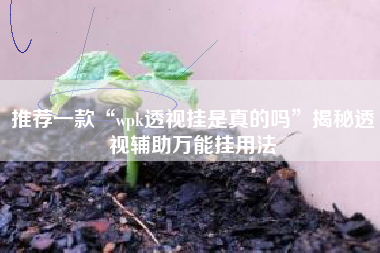推荐一款“wpk透视挂是真的吗”揭秘透视辅助万能挂用法
