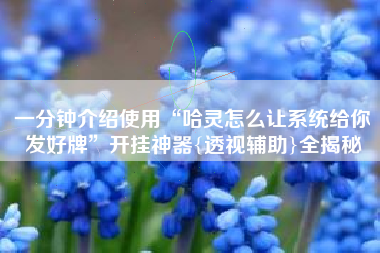 一分钟介绍使用“哈灵怎么让系统给你发好牌”开挂神器{透视辅助}全揭秘