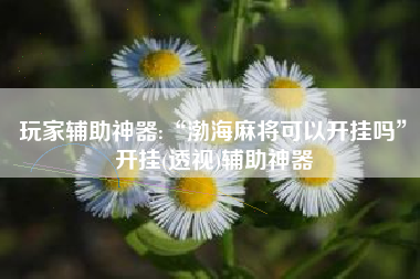 玩家辅助神器:“渤海麻将可以开挂吗	”开挂(透视)辅助神器