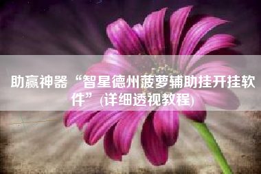 助赢神器“智星德州菠萝辅助挂开挂软件	”(详细透视教程)