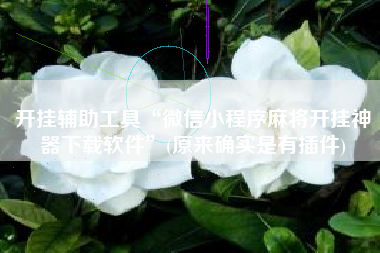 开挂辅助工具“微信小程序麻将开挂神器下载软件	”(原来确实是有插件)