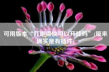 可用版本“打跑得快可以开挂吗”(原来确实是有插件)