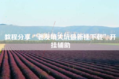 教程分享“老友填大坑最新挂下载”开挂辅助