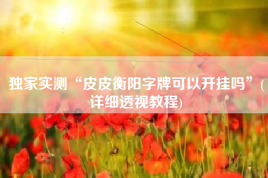 独家实测“皮皮衡阳字牌可以开挂吗	”(详细透视教程)