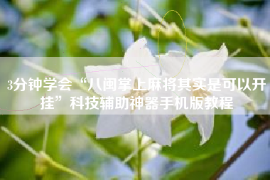 3分钟学会“八闽掌上麻将其实是可以开挂”科技辅助神器手机版教程