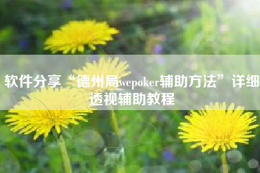 软件分享“德州局wepoker辅助方法”详细透视辅助教程