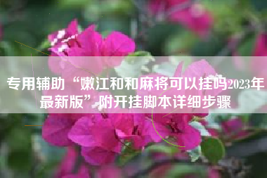 专用辅助“嫩江和和麻将可以挂吗2023年最新版”附开挂脚本详细步骤