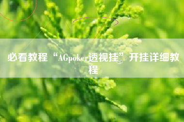 必看教程“AGpoker透视挂”开挂详细教程