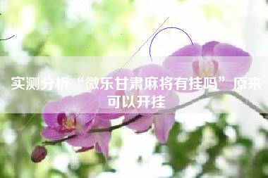 实测分析“微乐甘肃麻将有挂吗	”原来可以开挂