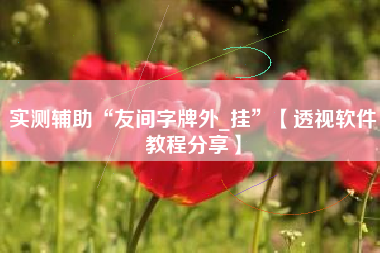 实测辅助“友间字牌外_挂”【透视软件教程分享】