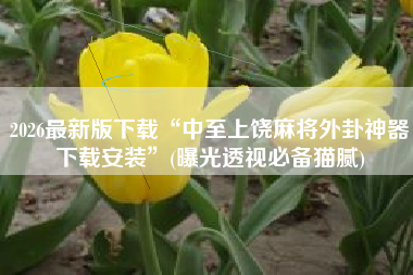 2026最新版下载“中至上饶麻将外卦神器下载安装”(曝光透视必备猫腻)