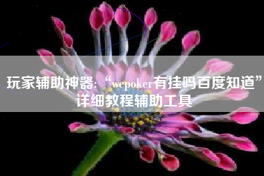 玩家辅助神器:“wepoker有挂吗百度知道	”详细教程辅助工具