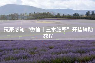 玩家必知“微信十三水胜率”开挂辅助教程