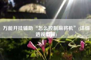 万能开挂辅助“怎么控制麻将机	”(详细透视教程)