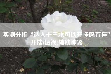 实测分析“达人十三水可以开挂吗有挂	”开挂(透视)辅助神器