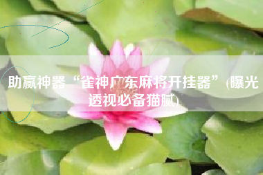 助赢神器“雀神广东麻将开挂器	”(曝光透视必备猫腻)