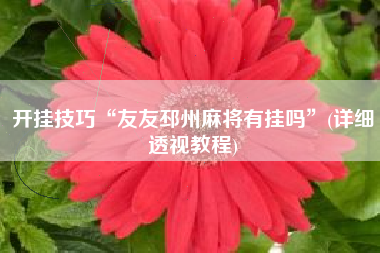 开挂技巧“友友邳州麻将有挂吗”(详细透视教程)