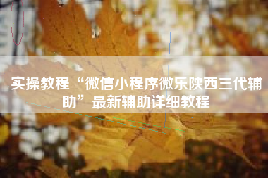 实操教程“微信小程序微乐陕西三代辅助”最新辅助详细教程