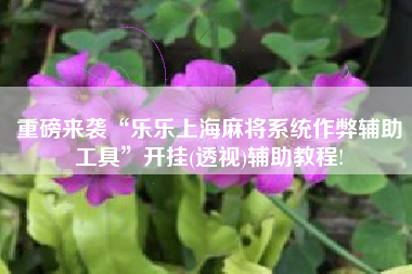 重磅来袭“乐乐上海麻将系统作弊辅助工具”开挂(透视)辅助教程!